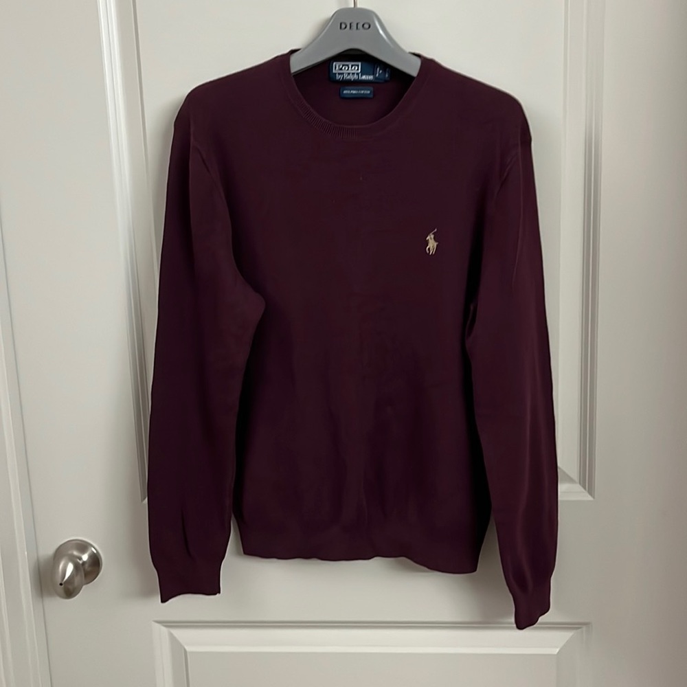 Mens polo sweater